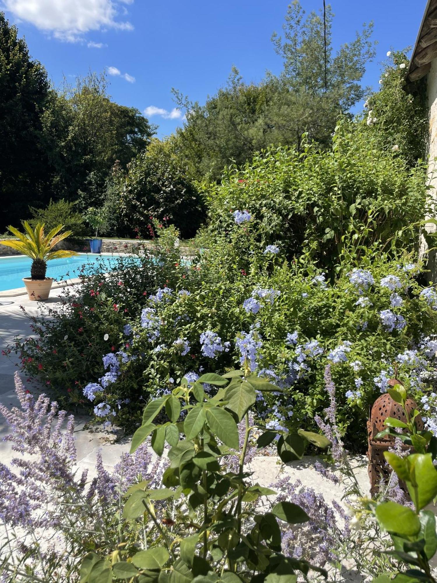 Villa Cassandre Esvres Exterior foto